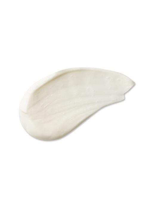 EVOLVE Daily Renew Face Cream - immagine 11