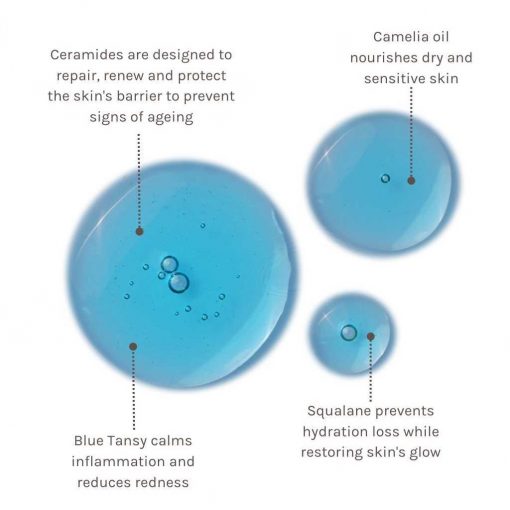 EVOLVE Blue Velvet Ceramide Serum – Image 2