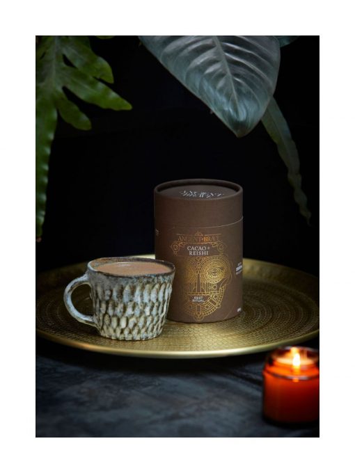 Ancient + Brave Cacao and Reishi 250g - immagine 5
