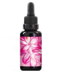 Holiday Cactus Flower Elixir Essenza floreale 30ml