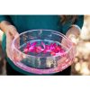Lotus Wei Holiday Cactus Flower Elixir Bluetenessenz ml